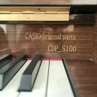 پیانو طرح آکوستیک کاسیو|پیانو، کیبورد، آکاردئون|تبریز, |دیوار