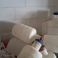 دبه خیارشور