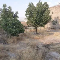 فروش-زمین-کشاورزی-گنبدکبود
