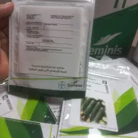 بذر خیار ویکتور|خدمات باغبانی و درختکاری|جویبار, |دیوار