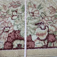 دوعدد پادری|پادری|گرگان, |دیوار