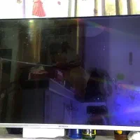 تلوزیون ۴۳ سونیا