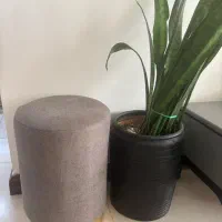 گلدان با گل