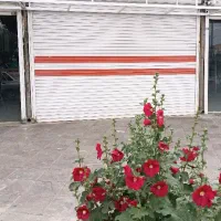 مغازه تجاری بزرک برای اجاره شهر اراک