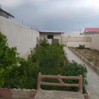 باغچه-نقلی-صفی-اباد