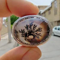 انگشتر شجر رکاب نقره کلکسیونی