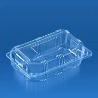 ظرف فوکری کوتاه