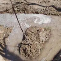 طراحی روف گاردن، باغچه،  باغ، کاشت گل