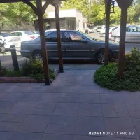 راننده باخودرو