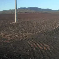 انواع زمین  ویلایی باغی  زراعی|فروش زمین و ملک کلنگی|عنبران, |دیوار