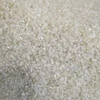 فروش،خورده برنج کامفیروز،درشت