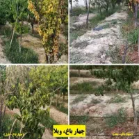 نصب و اجرای آبیاری قطره ای و بارانی|خدمات باغبانی و درختکاری|کرج, شهرک بنفشه|دیوار