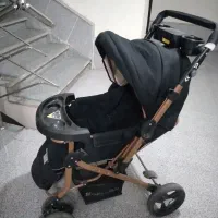 کالسکه دلیجان|کالسکه و لوازم جانبی|تالش, هشتپر|دیوار