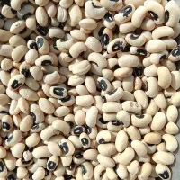 لوبیا چشم بلبلی|خوردنی و آشامیدنی|دوزین, |دیوار