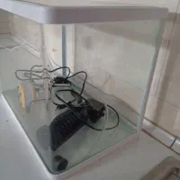 اکواریوم|ماهی|ایلام, |دیوار