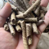 کنجاله کلزا