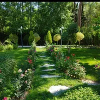 انجام خدمات باغبانی درختکاری کاشت گل|خدمات باغبانی و درختکاری|تهران, صادقیه|دیوار