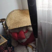 سینما خانواده ال جی