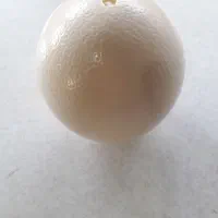 تخم شترمرغ خالی|صنایع دستی و سایر لوازم تزئینی|مشهد, مصلی (کارمندان اول)|دیوار