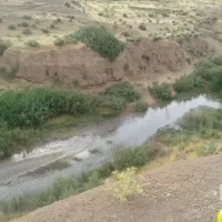 زمین-کشاورزی-باغی-زواریان