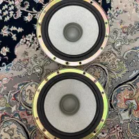 باند و رو دری پرشیا نو