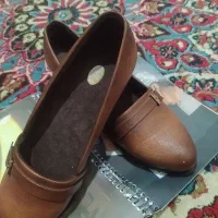 کفش|کیف، کفش، کمربند|ایلام, |دیوار