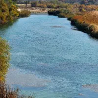 نیازمند کارگر