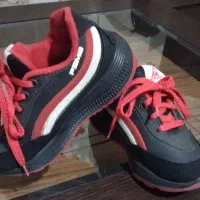 کفش وکتونی|کیف، کفش، کمربند|گرمدره, |دیوار