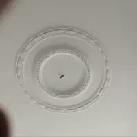 گچ کاری ساختمان