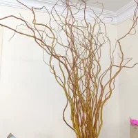 بید .گل طبیع|گل و گیاه طبیعی|تهران, باغ خزانه|دیوار