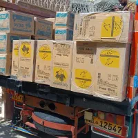 فروش عمده انواع دستکش کار استادکار،گیلان،لیدر،یزد