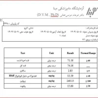 عسل طهور بدون شکر با برگه آزمایش|خوردنی و آشامیدنی|رشت, کوی غلام نیا|دیوار