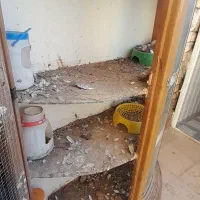 قفس پرنده|لوازم جانبی حیوانات|تربت جام, والفجر|دیوار