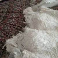 فوری|لباس|زنجان, |دیوار