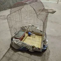 قفس پرنده