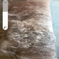 خدمات حلاجی خانزاده