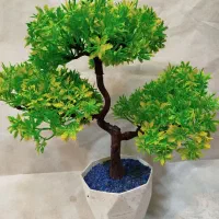 گل های زیبا