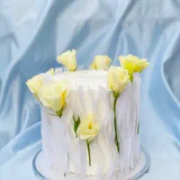 سفارش انواع کیک قنادی خونگی