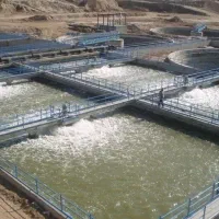 جویای کار