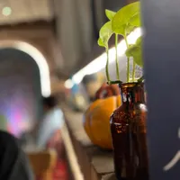 نیرو ساده اشپزخانه(فست فود و فرنگی)