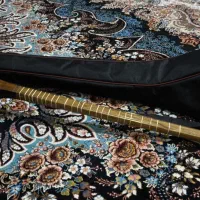 سه تار اصل آریا