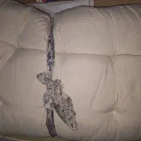 تشک تازه استفاده نشده