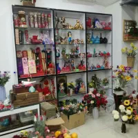 قفسه ام دی اف|کتابخانه، شلف، قفسه‌های دیواری|شیراز, فخرآباد (دروازه کازرون)|دیوار