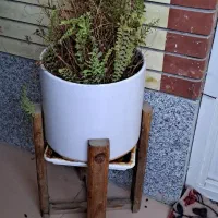 گل مصنوعی و طبیعی|گل مصنوعی|کرمان, |دیوار