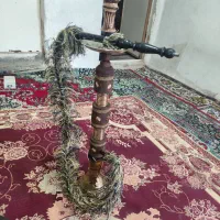 قلیون