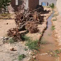 خانه باغ چترود روستا معزآباد ۱۶قصب