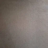 پالاز موکت رنگ توسی روشن 45 متر|موکت|همدان, |دیوار