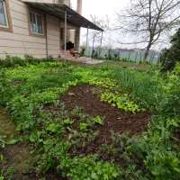اجاره ویلا دو خوابه مبله در روستای زیبای وشمه‌سرا|اجارهٔ خانه و ویلا|ماسال, |دیوار