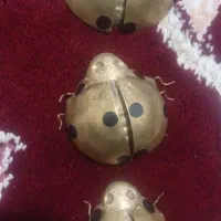 کفشدوزک جنس برنز|کلکسیون و سرگرمی|دورود, |دیوار