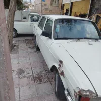پیکان81